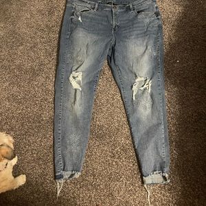 Lane Bryant jeans